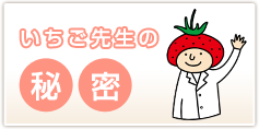いちご先生の秘密